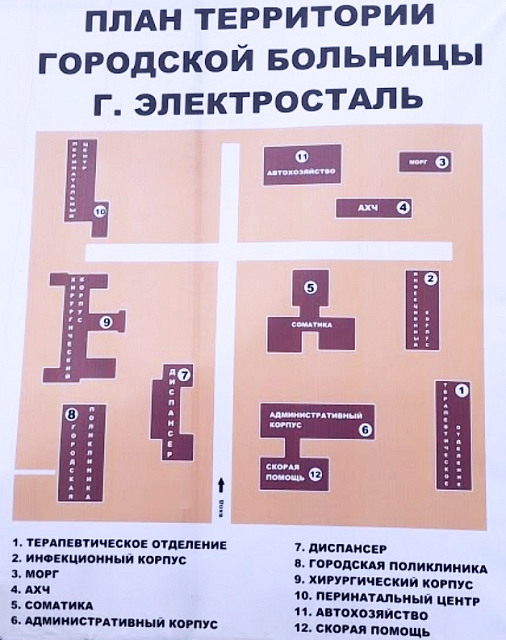 План территории ЭЦГБ